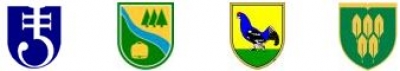 Logo MIR.jpg